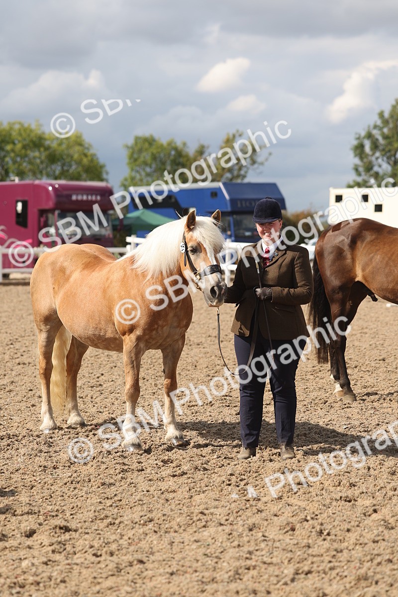 SBM_06874 - Class 25 - IH Foreign Breeds - Purebred