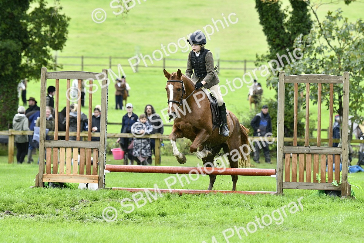 SBM_41466 - S32 - Mountain & Moorland Working Hunter Pony