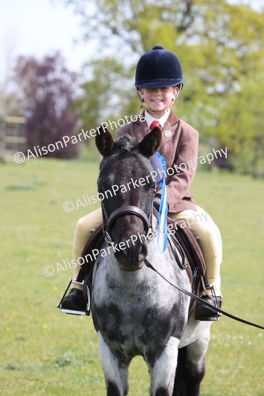 20260426-2615 - Class 31 - Leading Rein