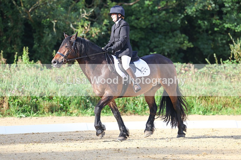 3E7A1867 - Class 1: Intro 4 2024 section A