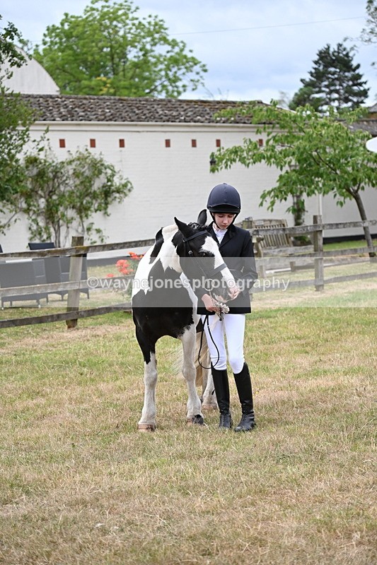 WJ6_4524 - Class 10 Coloured In-hand