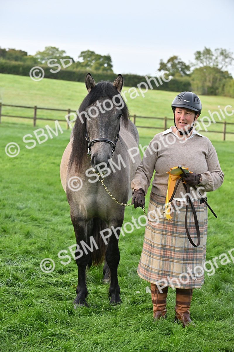 SBM_55381 - S44 - Youngstock In Hand