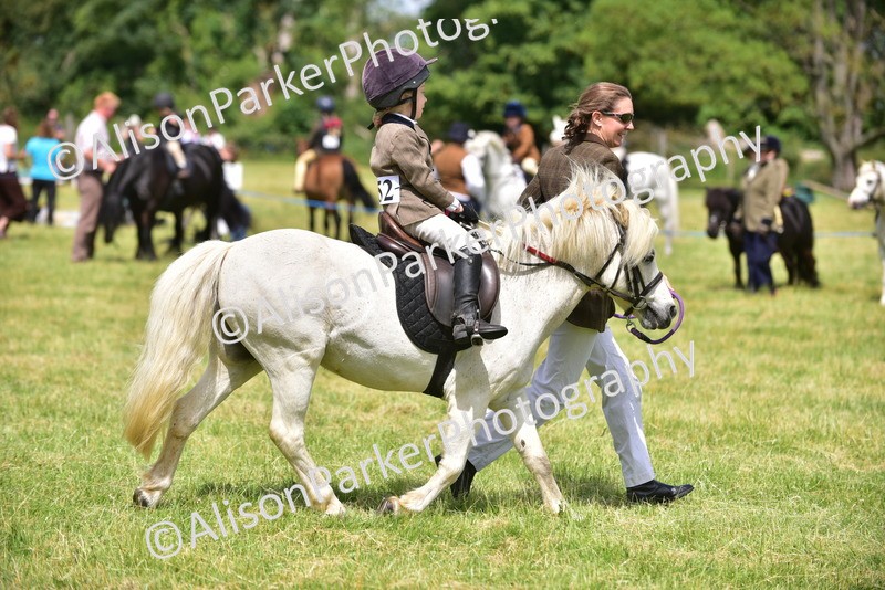 20260614-1258 - Class 11a - Lead Rein Pony (Unplaited)
