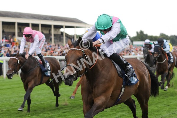 yr18082022r5-22 - Race 5 4.10pm British EBF & Sir Henry Cecil Galtres Stakes