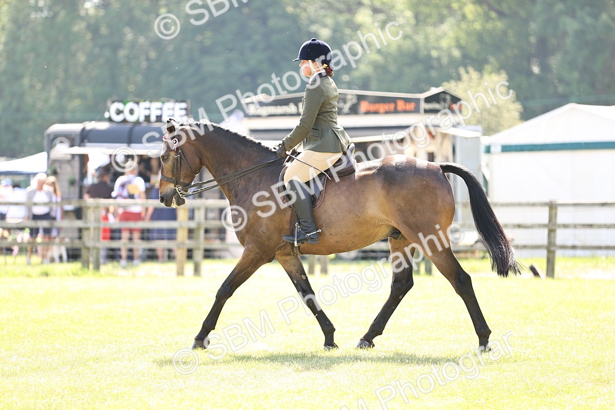 SBM_13008 - Class 75-76 LIHS BSHA Rising Star Hack Riding Horse