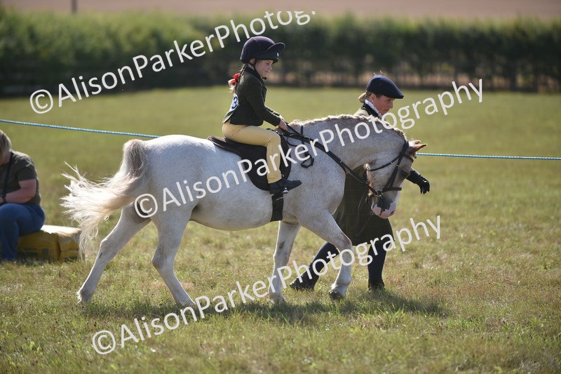 20260906-1771 - Class 11 - 13hh and Under