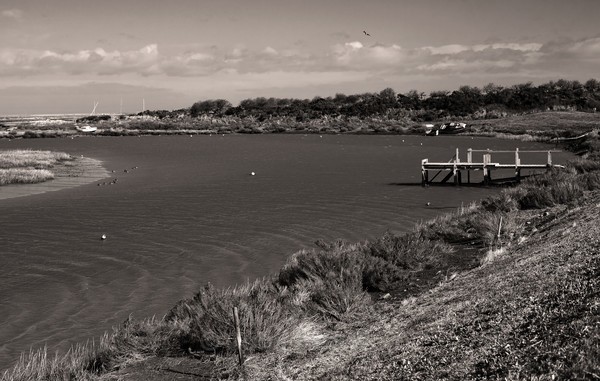  - Black and White