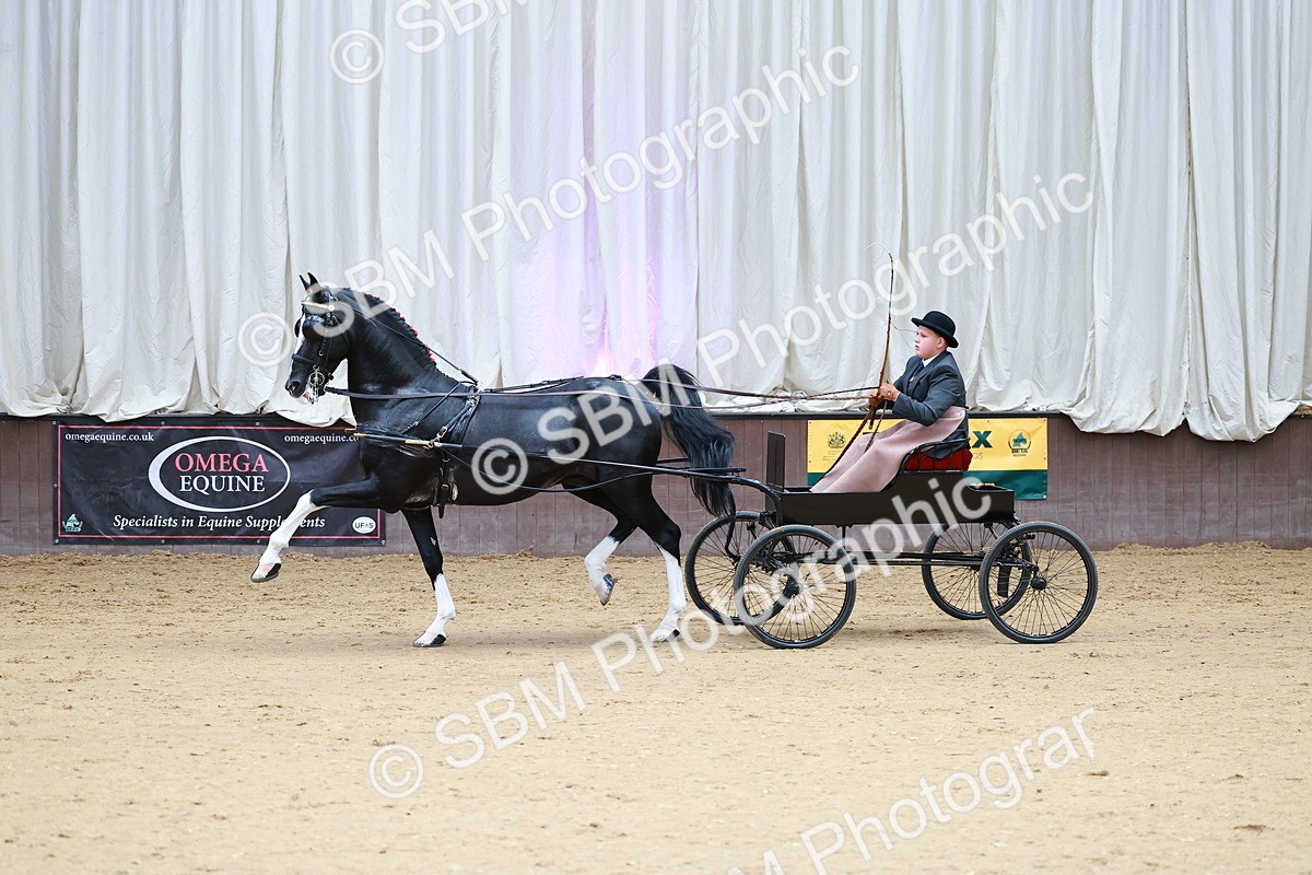 SBM_001016 - Class 13  - HHS Championship Intl Hackney Horse to a Show Wagon