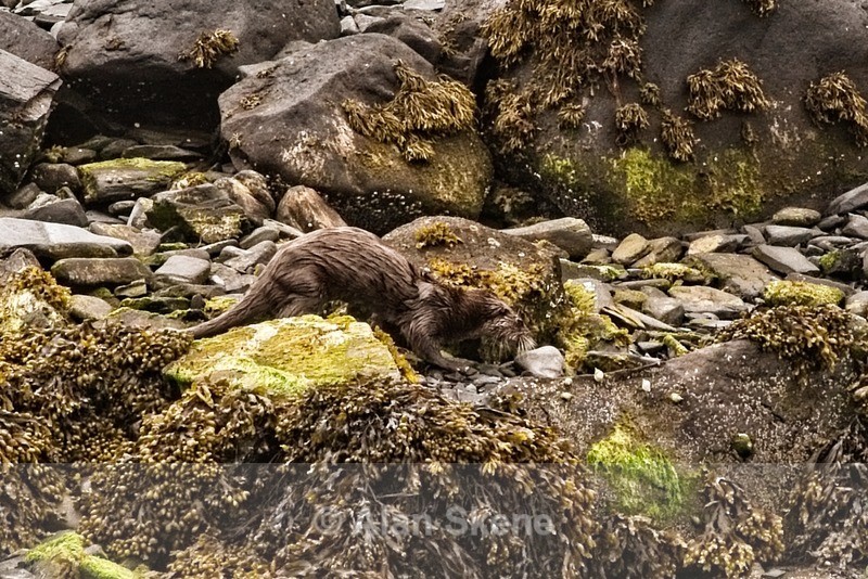 DSC01910 - Easdale West Scotland