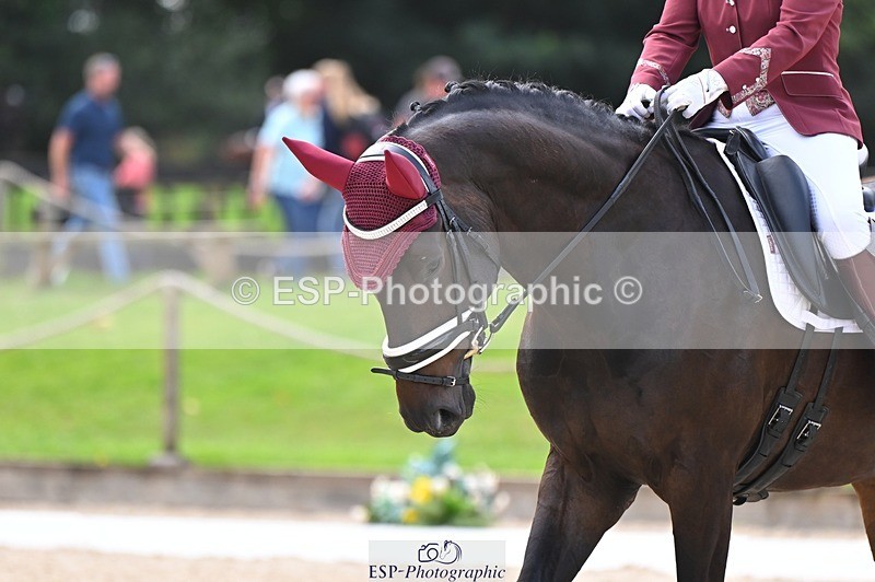 240809-141855-01841 - 206-Jane.Littlejohn-Not.Just.Anyone