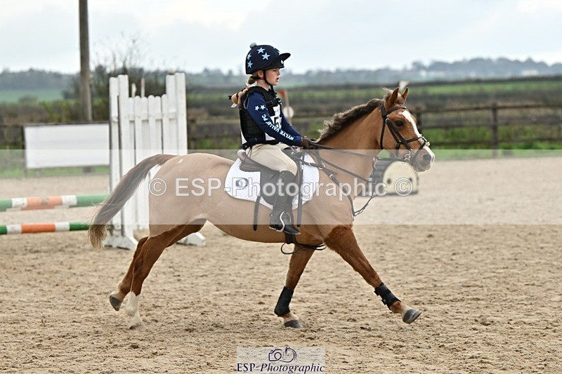 241110-134649-00933 - 60-65cm Arena Eventing