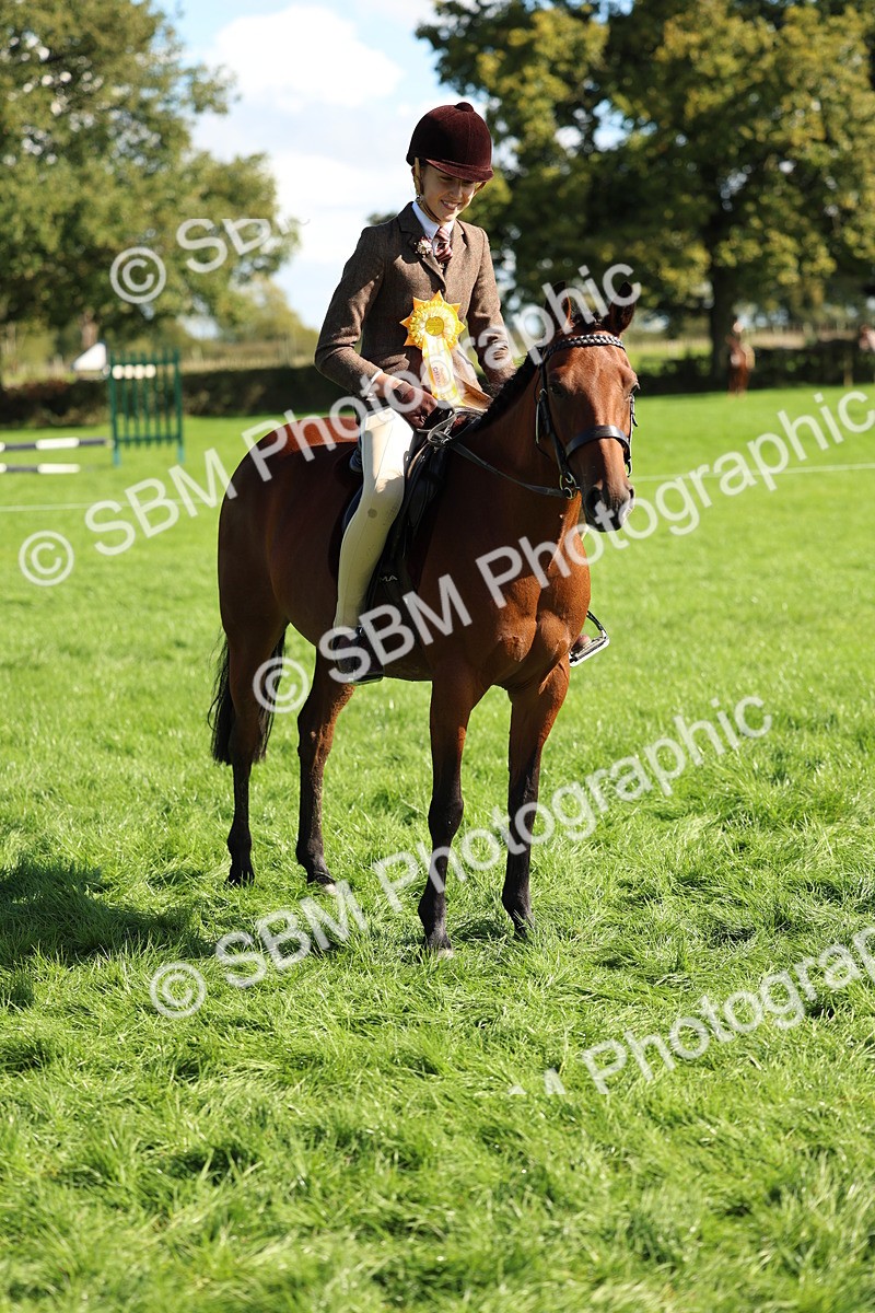 SBM_45461 - S33 - Working Hunter Pony