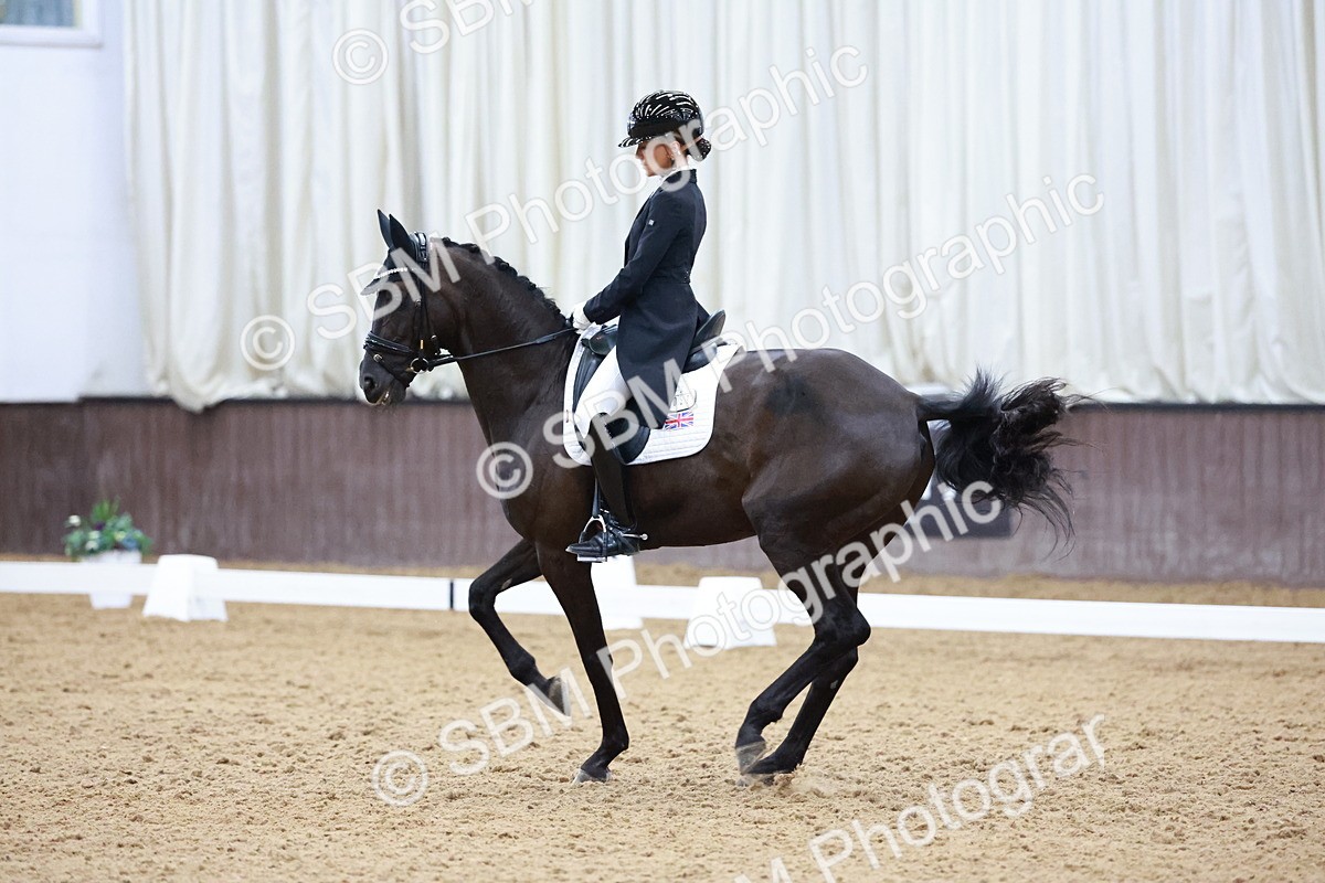 SBM_021210 - Class 14 - FEI Grand Prix - 17.40-18.34