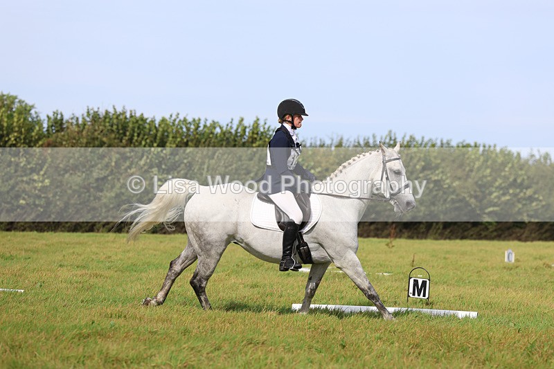 3E7A6313 - Class 1: Trebudannon Open: Dressage (Part 2)