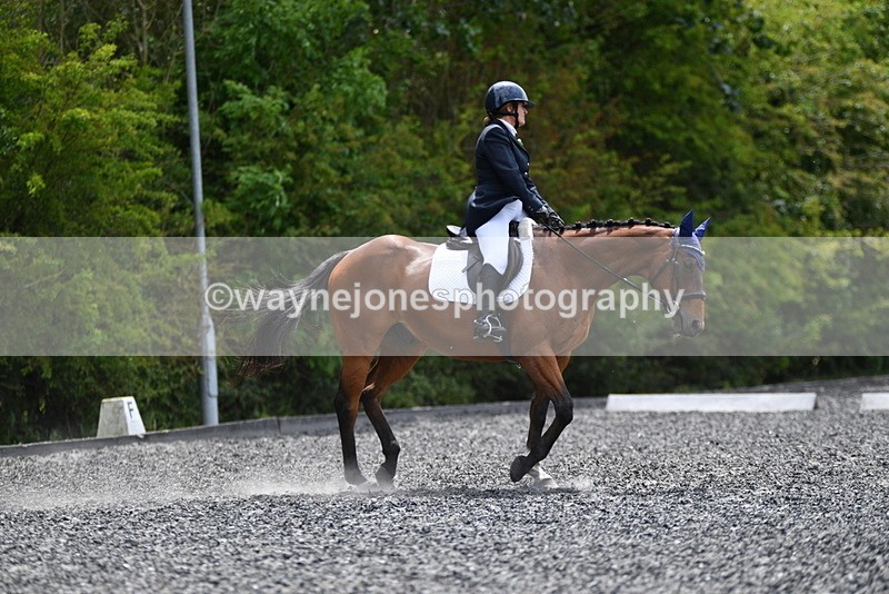 WJ5_0782 - Time 13:04 to 13:42