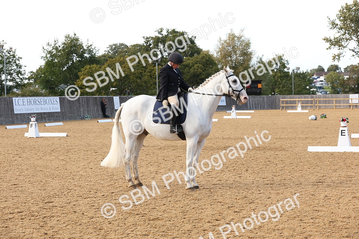 SBM_28278 - D20 - Grand Tour Championship Elementary 3