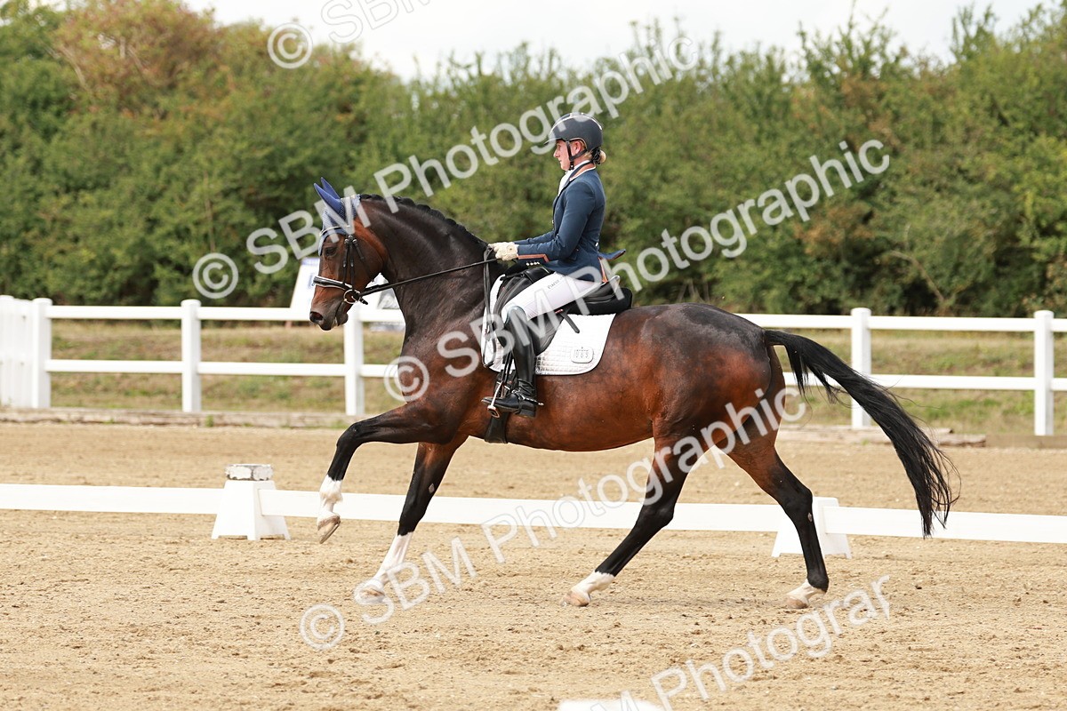 SBM_002193 - Class 11 - Medium 6