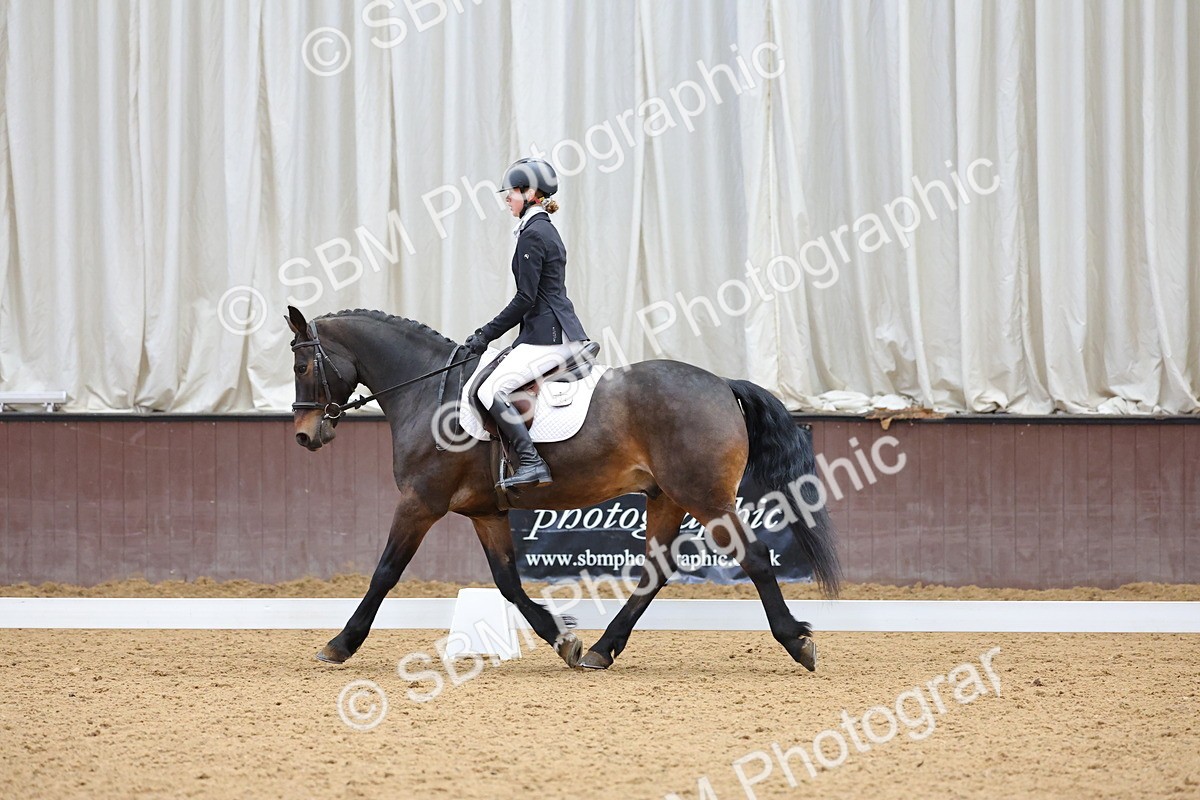 SBM_002717 - Novice