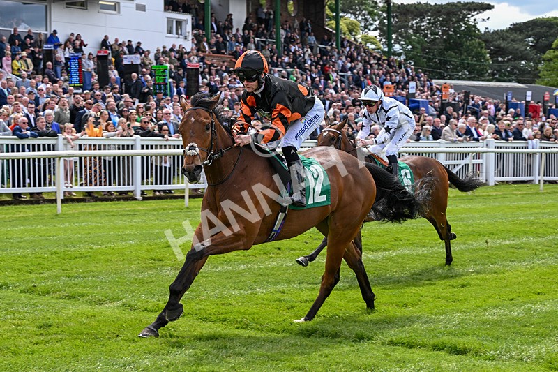 160526-Race 1-Dees Funny Girl-9222 - Race 1 1.52pm Marion Gibson Brown Memorial - Irish EBF Restricted Maiden Fillies' Stakes  (Div I)