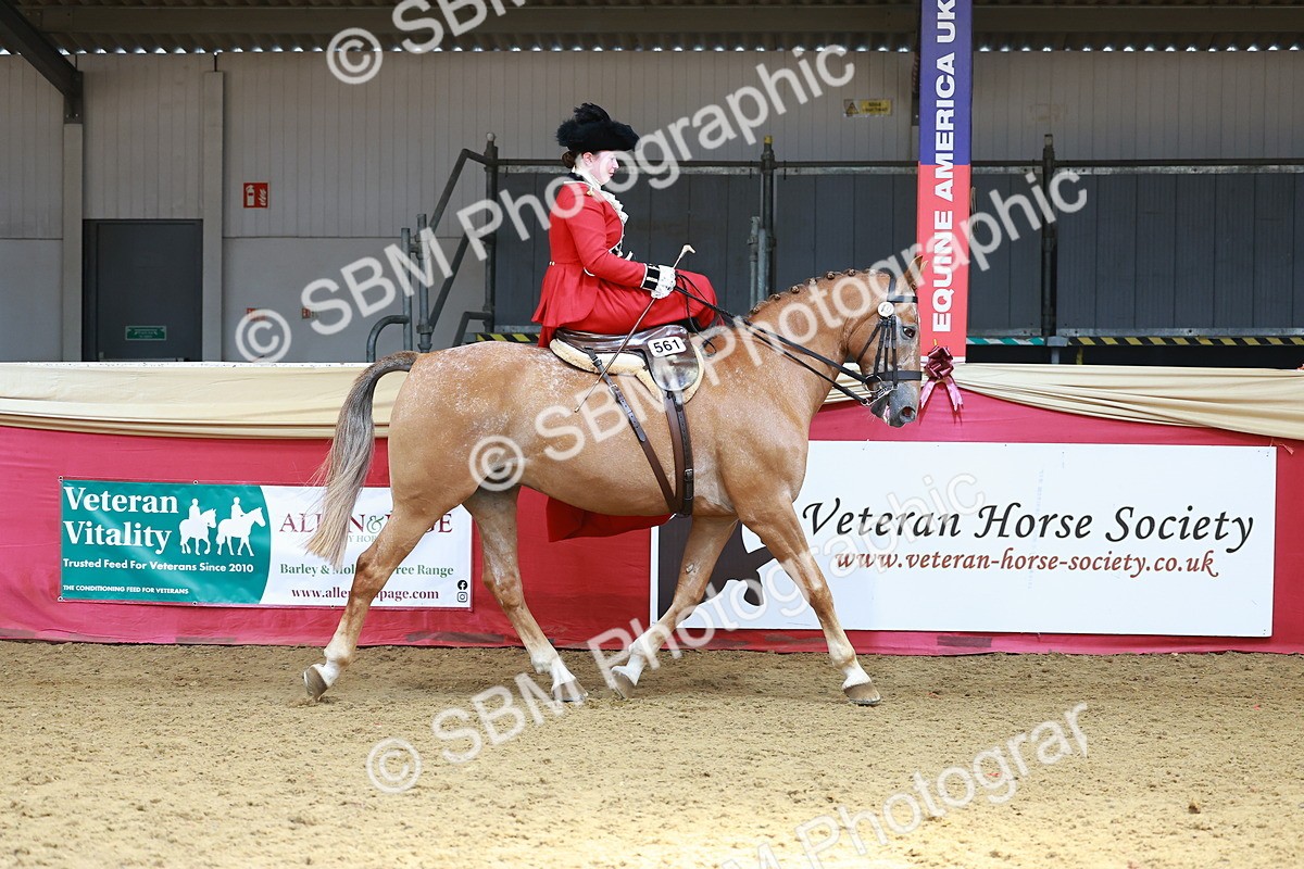 SBM_13860 - Class 106 - Ridden Costume - Side Saddle