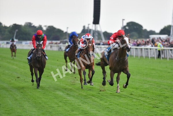 yr22072022r6-19 - Race 6 7.50pm Gallop Racing Stakes