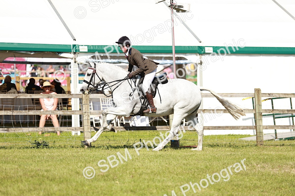 SBM_18887 - Class 114 - RIHS & SEIB Open Working Show Horse