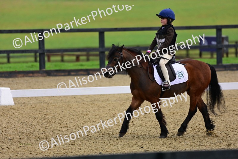 20260125-0508 - Class 9b - Walk Trot Unassisted