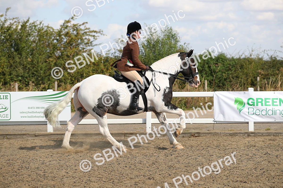 SBM_03312 - Class 44 Riding Club Horse/ Pony