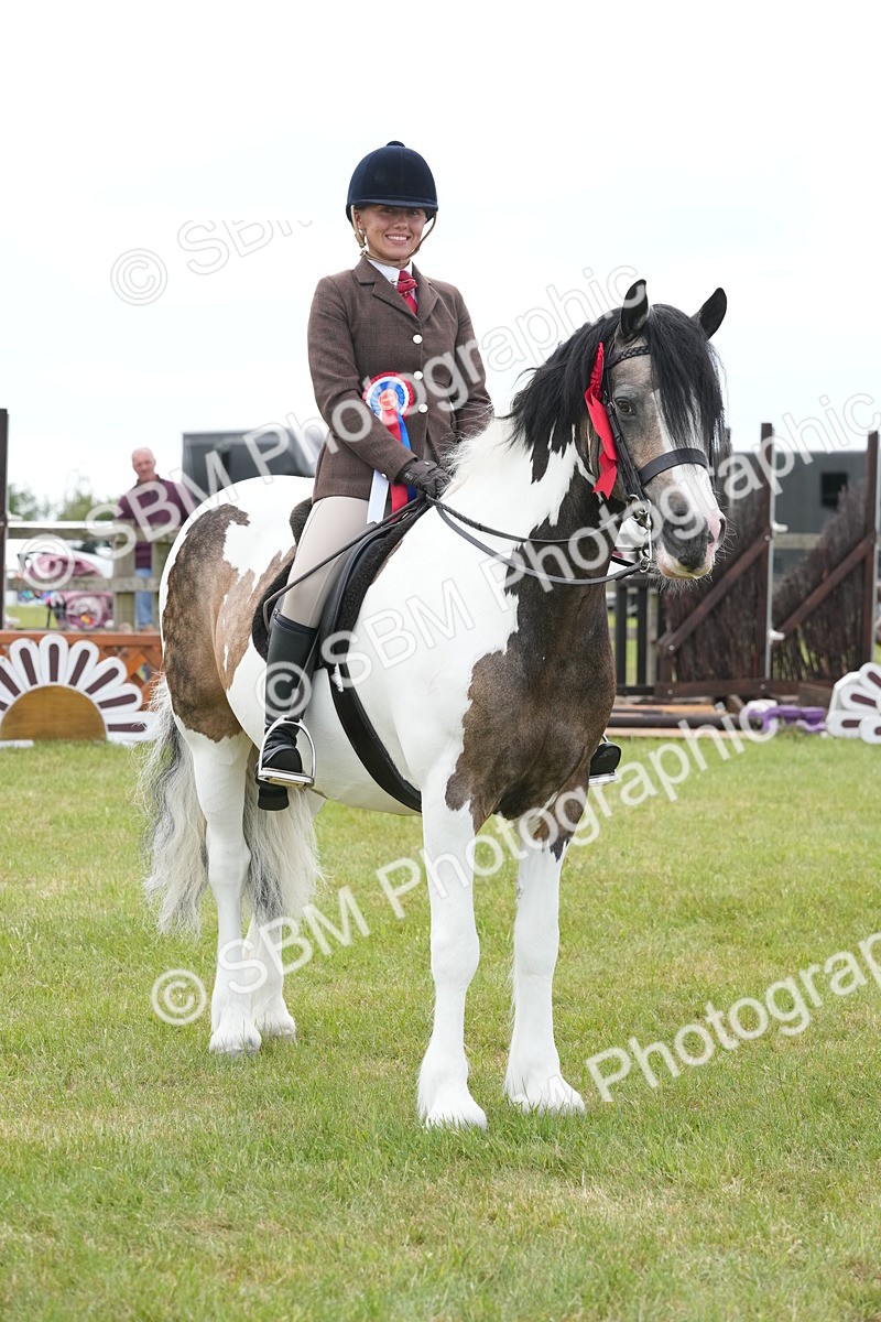 SBM_17682 - Class 107-108 - LIHS BSPS Performance Coloured Horse Pony