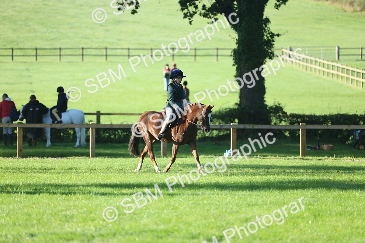 SBM_33402 - S28 - Nursery Stakes Working Hunter Pony