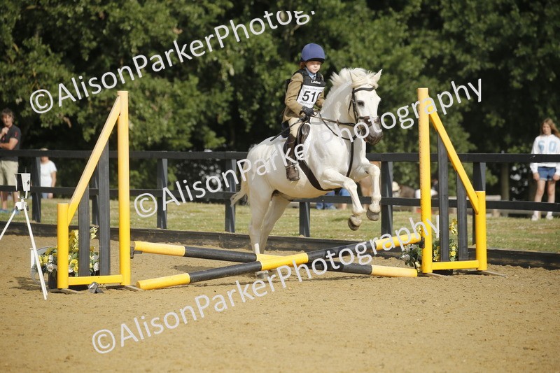 20250622-1254 - 40cm