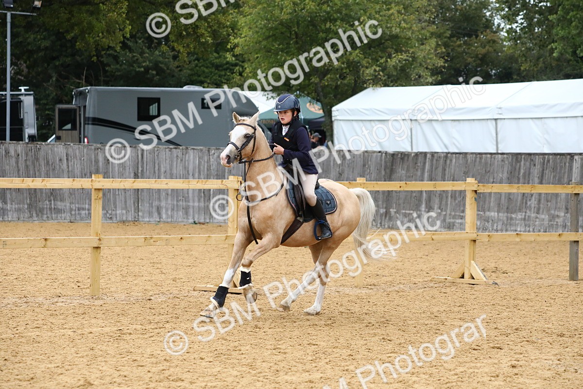 SBM_60088 - J63 - Junior Pony 50cm Championship