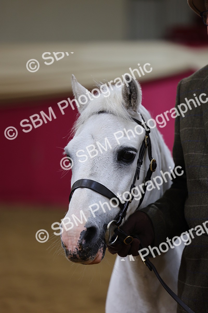 SBM_19481 - Class 901 - Supreme Final - IH Diamond