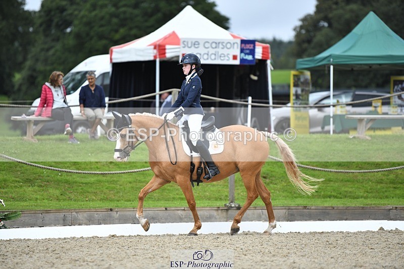 230812-123842-04171 - Cls 6 Novice Silver 12.10 to End