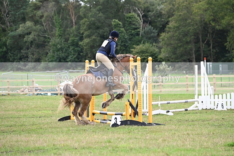 WJ6_0475 - 40cm Time 10:29 to 10:52