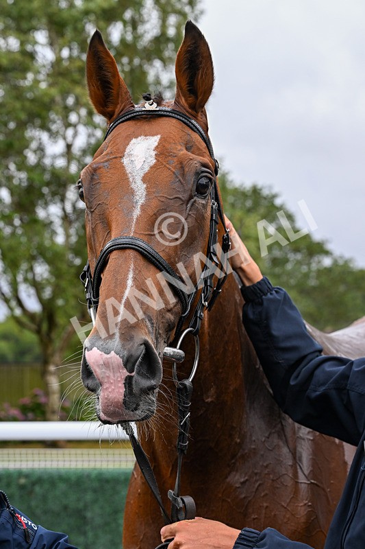 150725-Race 5-Sax Appeal-0826 - Race 5