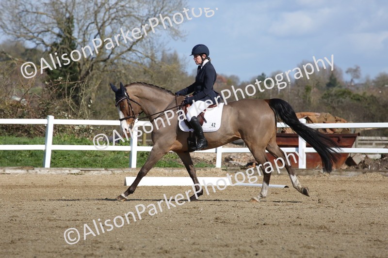 20260314-3998 - CT4 - Novice 1