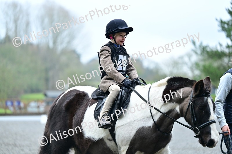 20260125-0817 - Class 9a - Walk Trot Assisted