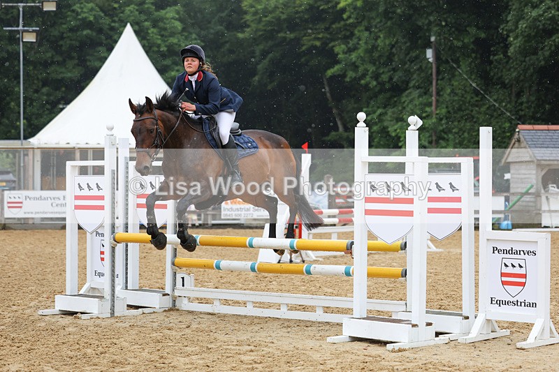 3E7A5397 - Class 4: Senior British Novice/90cm open