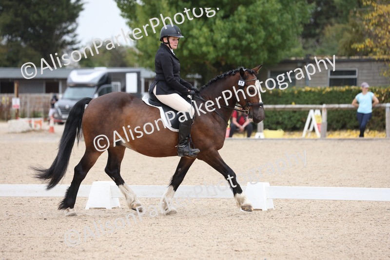 20250819-0981 - Class 2 - Prelim 1