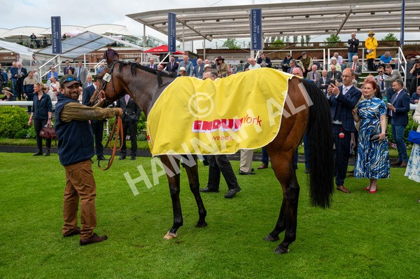 160524-Race 1-Clarendon House-7745 - Race 1 2.15pm Lindum York Handicap