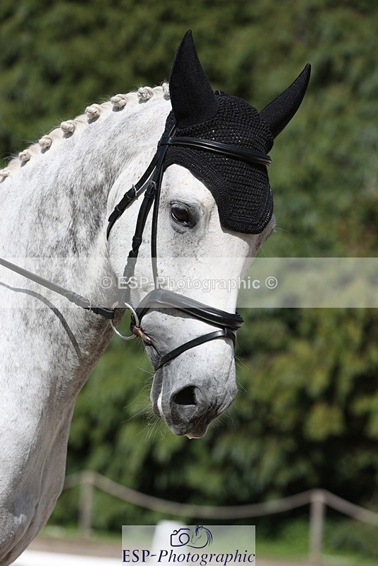 230526-161655-07791 - 170-MIND_OVER_MATTER-Lea_Boulesteix-WEDTrotUp+DR