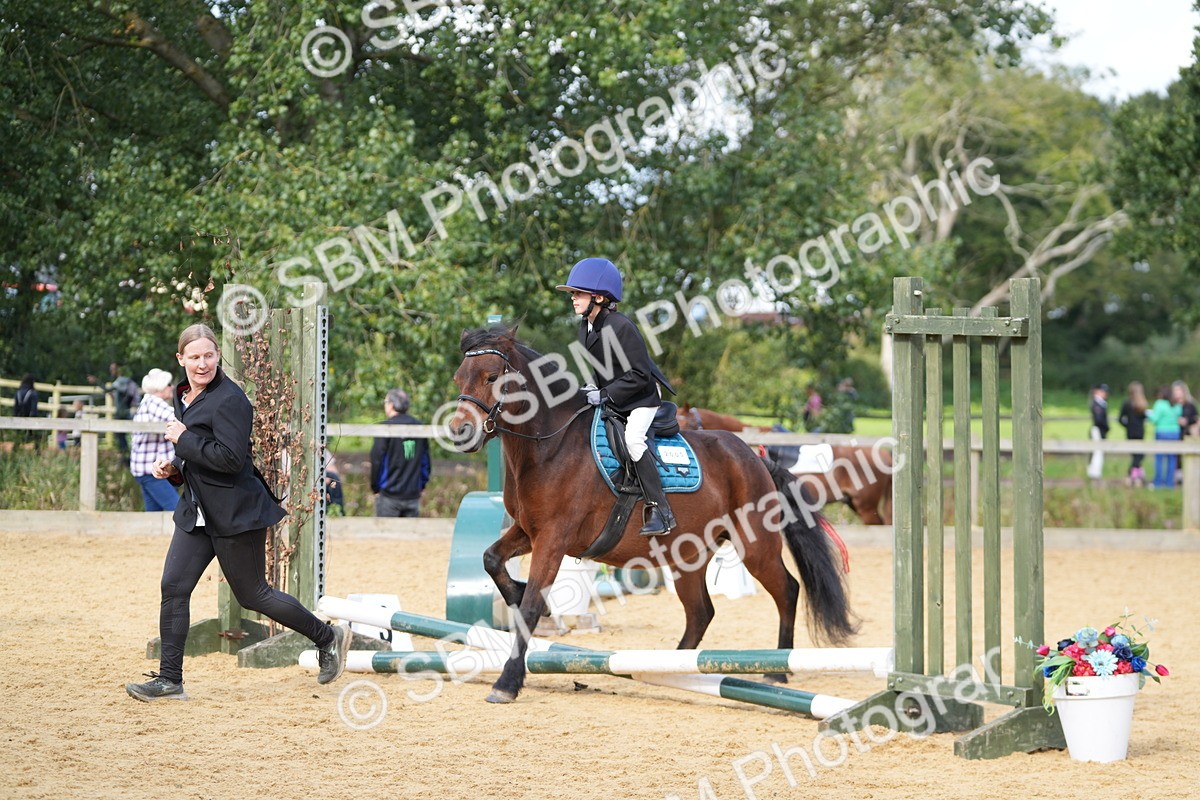 SBM_64328 - J2 - Mini Tour Junior Pony 30cm Championship