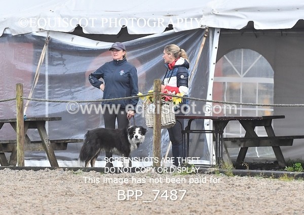 BPP_7487 - CLASS 8 Equiyd 0.95m Amateur Championship Qualifier