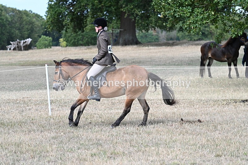 WJ7_6032 - Class 13 Ridden Veterans