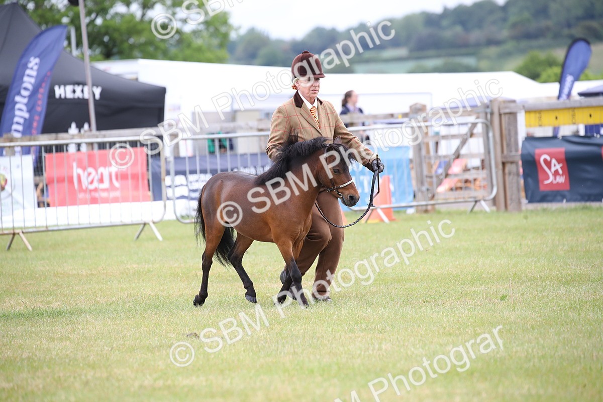 SBM_03684 - Class 23-25 - British Miniature Horse of the Year