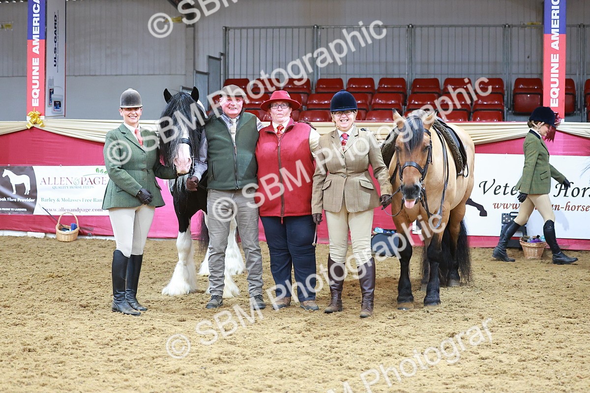 SBM_09541 - Class 102 - HOYS Veteran Qualifier - Ridden Veteran