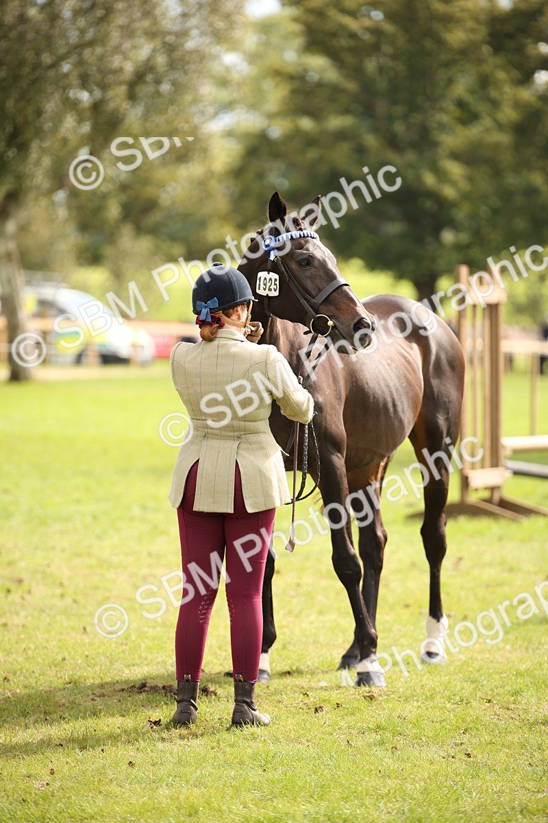 SBM_46390 - S25 - Mature Veteran In Hand