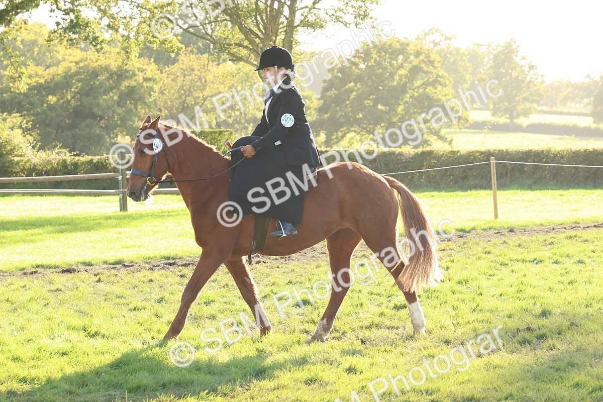 SBM_53010 - S29 - Mature Veteran Ridden