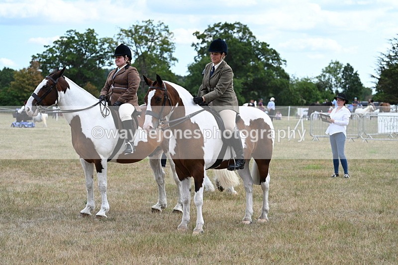 WJ7_5459 - Class 12 Ridden Cob